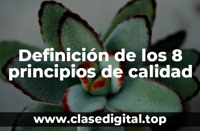 Definición de los 8 principios de calidad