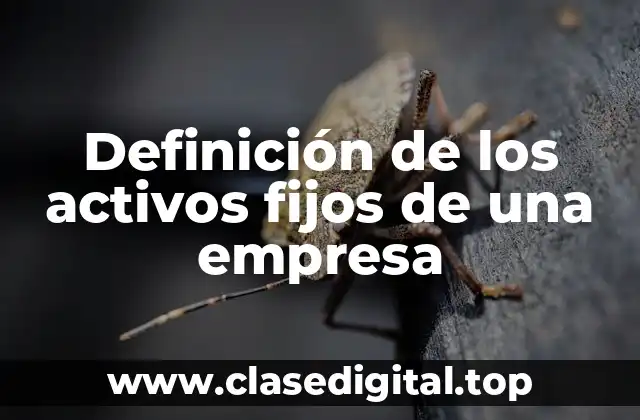 Definición de los activos fijos de una empresa