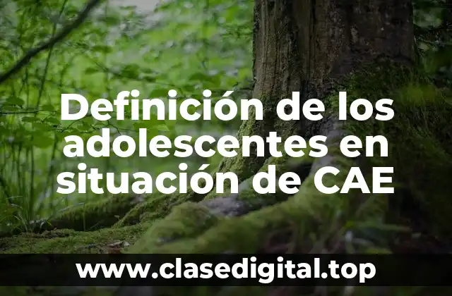 Definición técnica de los adolescentes en situación de CAE