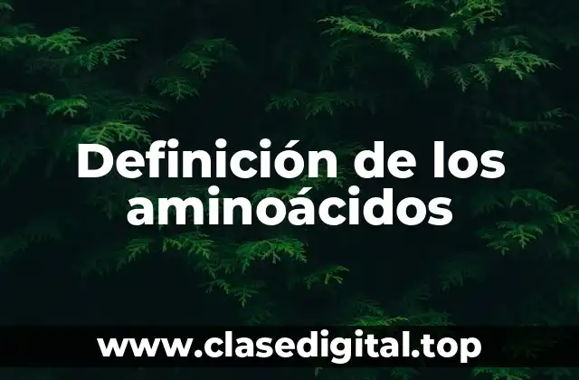 Definición de los aminoácidos