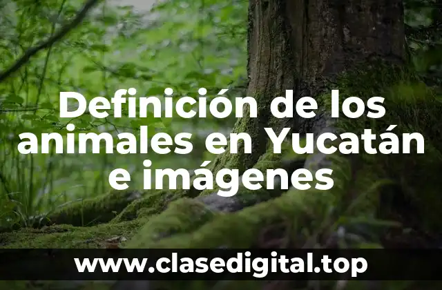 Definición de los animales en Yucatán e imágenes