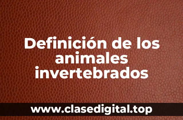 Definición de los animales invertebrados