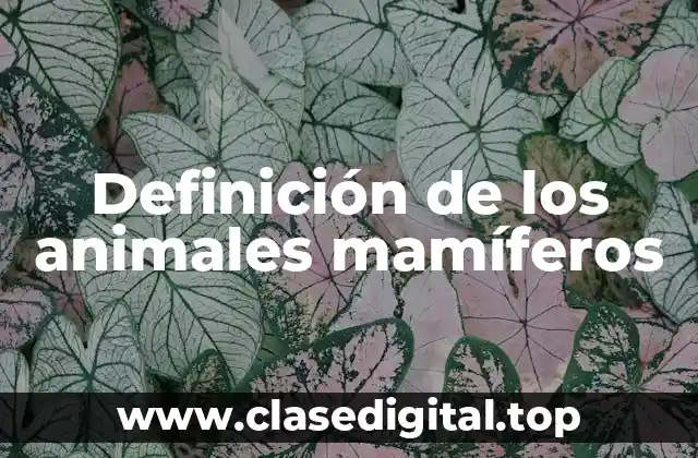 Definición de los animales mamíferos
