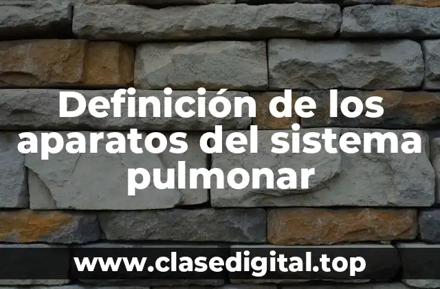 Definición de los aparatos del sistema pulmonar
