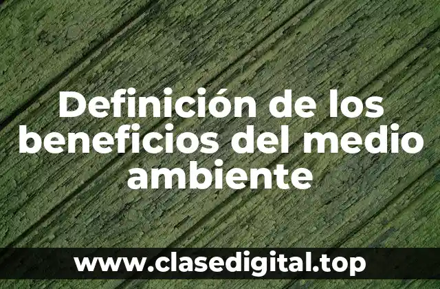 Definición de los beneficios del medio ambiente