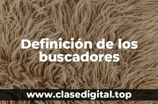 Definición de los buscadores