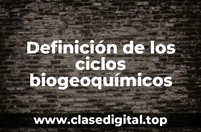 Definición de los ciclos biogeoquímicos