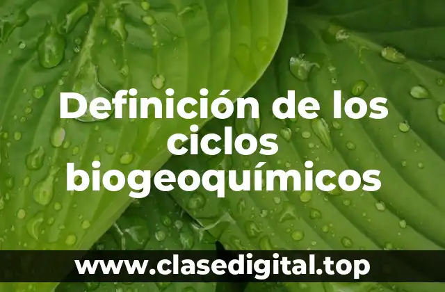 Definición técnica de ciclos biogeoquímicos