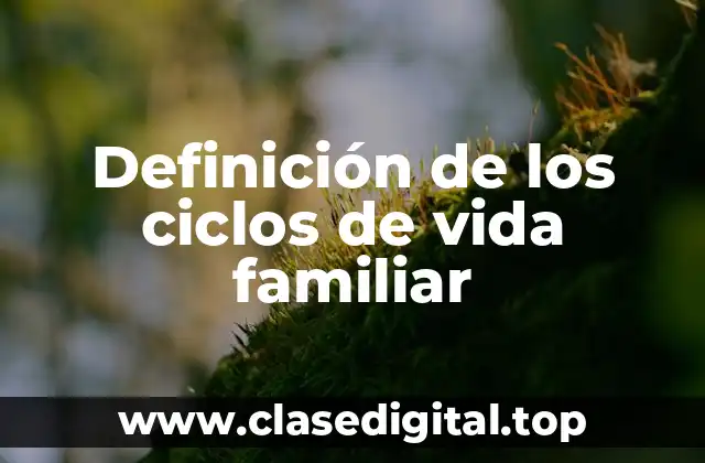 Definición de los ciclos de vida familiar