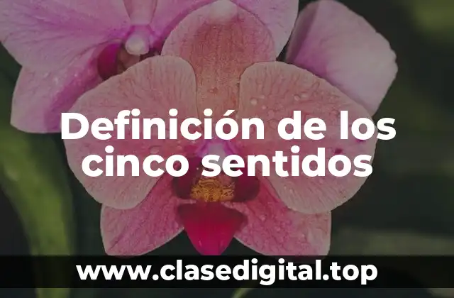 Definición de los cinco sentidos