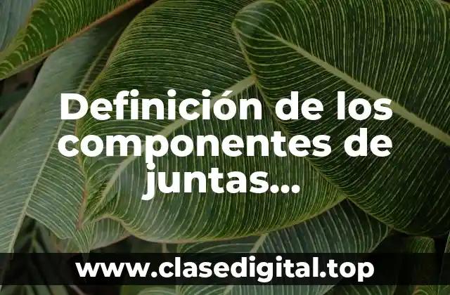 Definición de los componentes de juntas homocinéticas