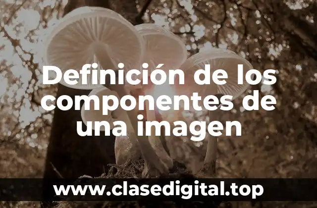Definición de los componentes de una imagen