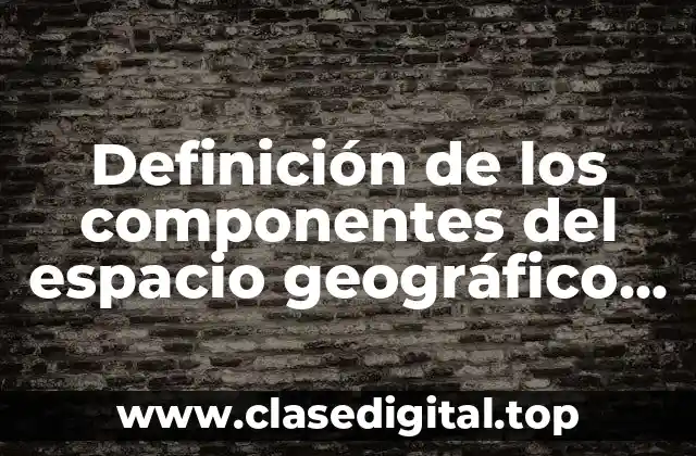 Definición de los componentes del espacio geográfico económico
