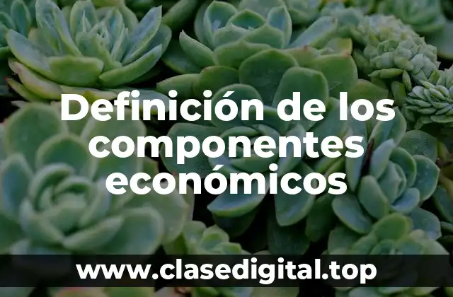 Definición de los componentes económicos