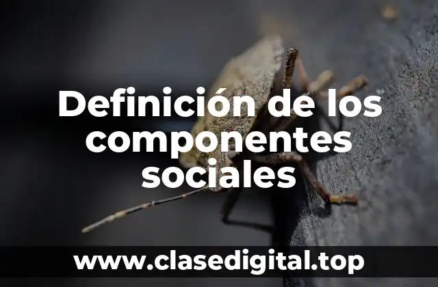 Definición técnica de los componentes sociales