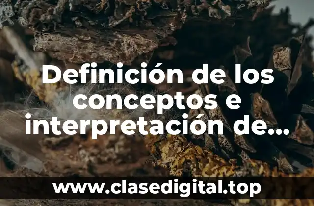 Definición de los conceptos e interpretación de límites