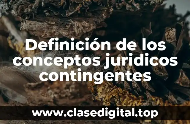Definición de los conceptos juridicos contingentes