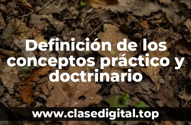 Definición de los conceptos práctico y doctrinario