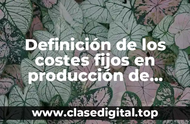 Definición de los costes fijos en producción de bienes