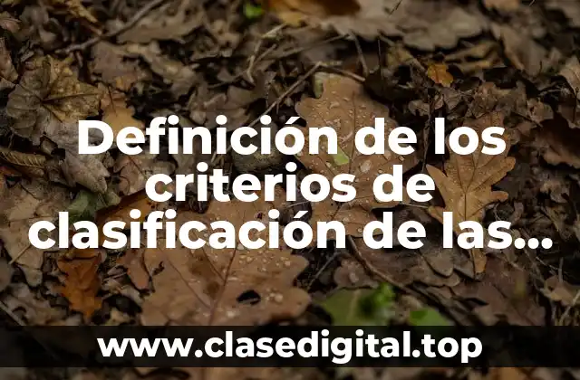 Definición de los criterios de clasificación de las organizaciones
