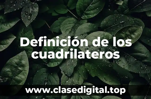 Definición técnica de cuadrilátero