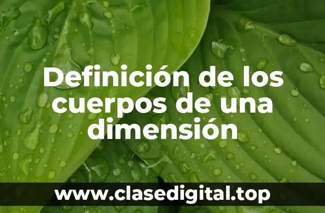 Definición de los cuerpos de una dimensión