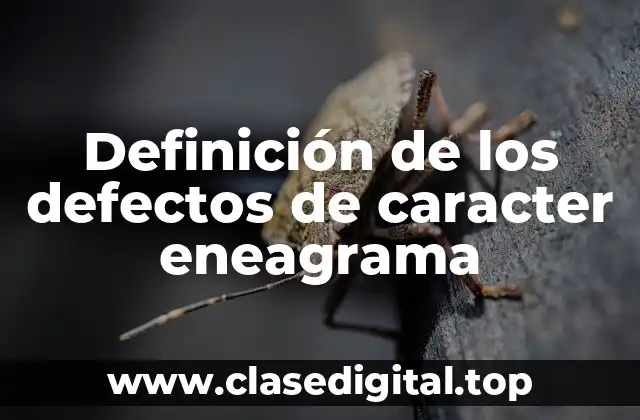 Definición técnica de los defectos de carácter en el Enneagrama