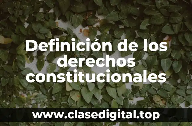 Definición de los derechos constitucionales