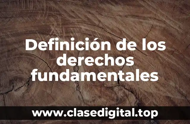 Definición técnica de los derechos fundamentales