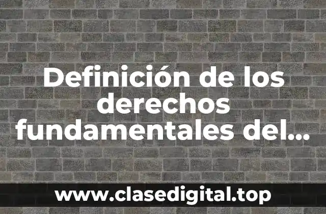 Definición de los derechos fundamentales del hombre
