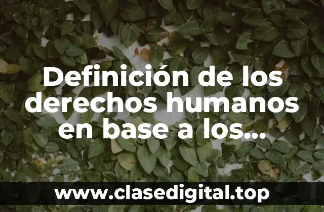Definición de los derechos humanos en base a los principios
