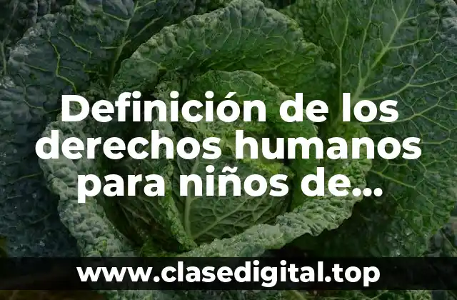 Definición de los derechos humanos para niños de primaria