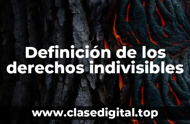 Definición de los derechos indivisibles