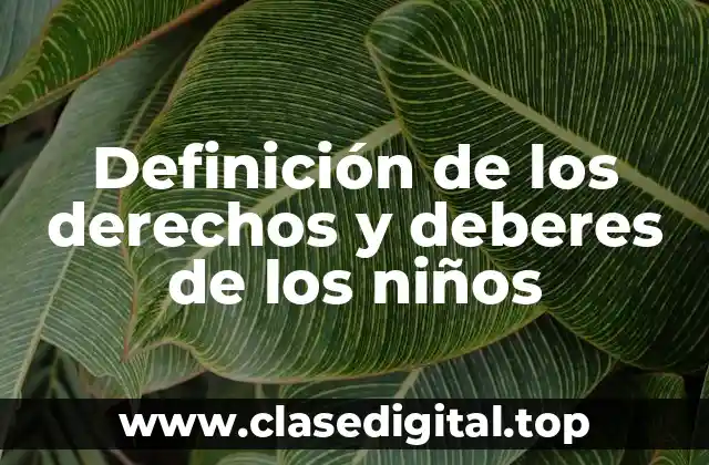 Definición de los derechos y deberes de los niños