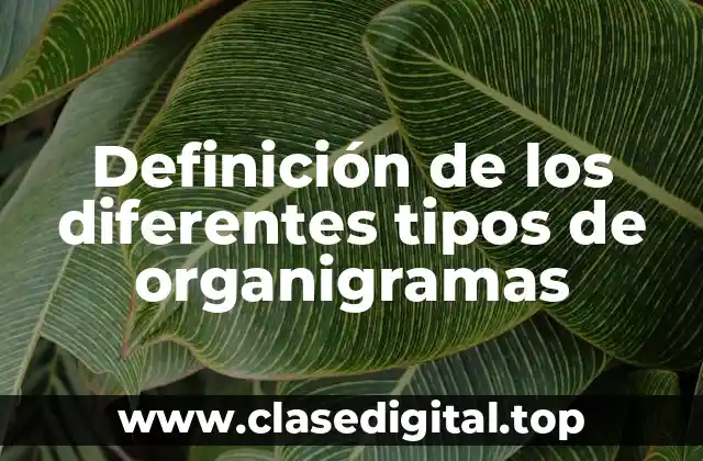 Definición de los diferentes tipos de organigramas