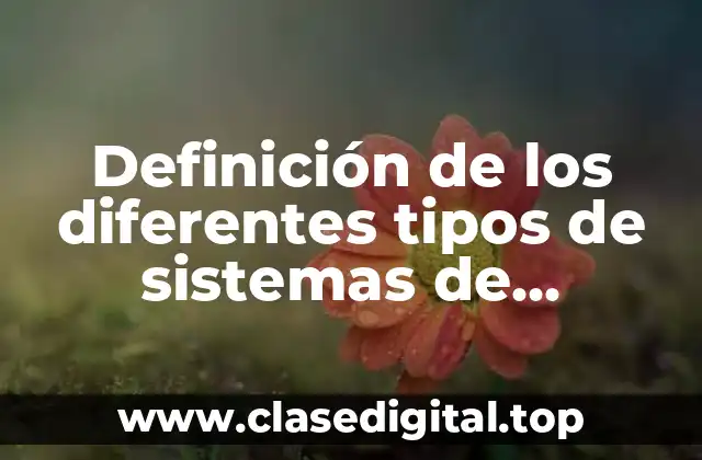 Definición de los diferentes tipos de sistemas de producción