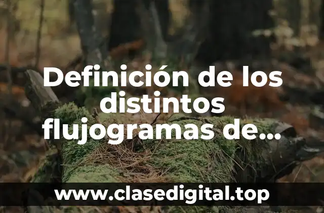 Definición de los distintos flujogramas de procedimientos en un clínica