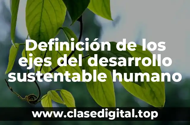 Definición de los ejes del desarrollo sustentable humano