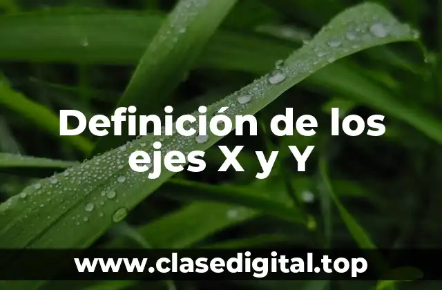 Definición de los ejes X y Y