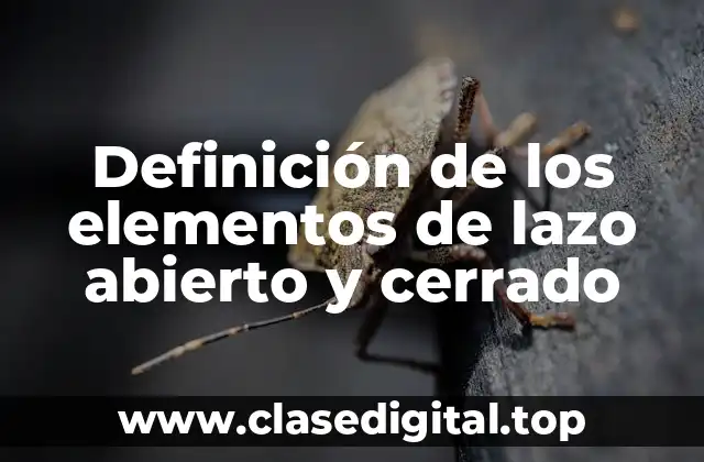 Definición de los elementos de lazo abierto y cerrado