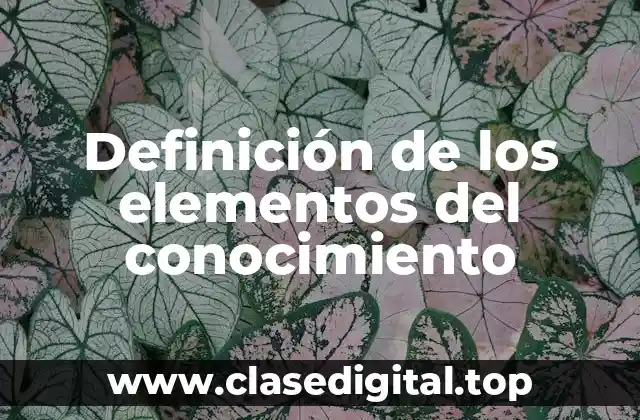 Definición de los elementos del conocimiento