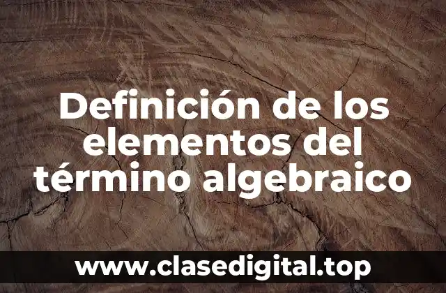 Definición de los elementos del término algebraico