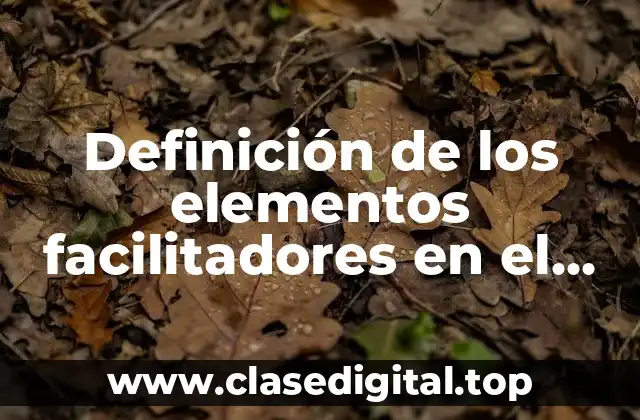 Definición de los elementos facilitadores en el aula