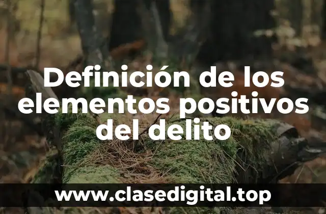 Definición técnica de los elementos positivos del delito