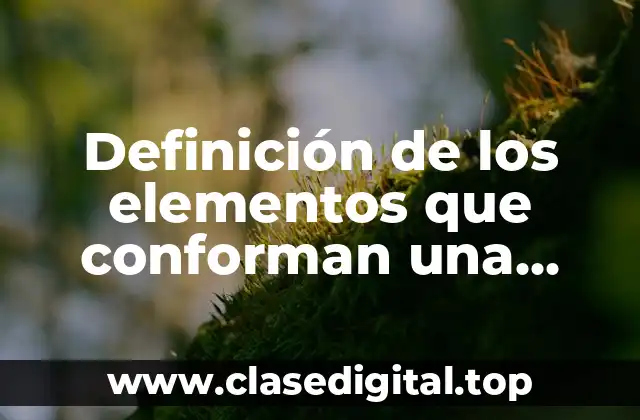 Definición de los elementos que conforman una función