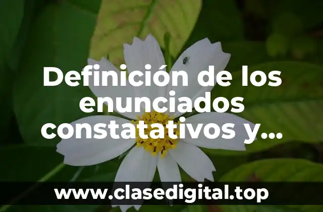 Definición de los enunciados constatativos y realizativos