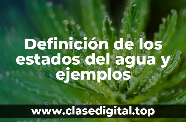 Definición de los estados del agua y ejemplos