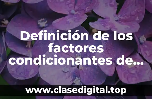 Definición de los factores condicionantes de las circunstancias específicas