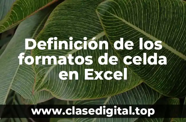 Definición técnica de formato de celda en Excel