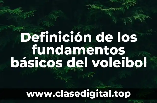 Definición de los fundamentos básicos del voleibol